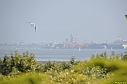 Parco San Giuliano  - 206